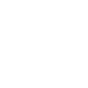 QAI Japan 株式会社 ロゴマーク